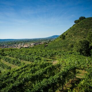 L'eccellenza delle colline di Farra di Soligo incontrano il savoir-faire dell'uomo, che modella questi paesaggi incantevoli, vocati per la produzione del Prosecco Superiore DOCG.

#prosecco #wine #conegliano #valdobbiadene