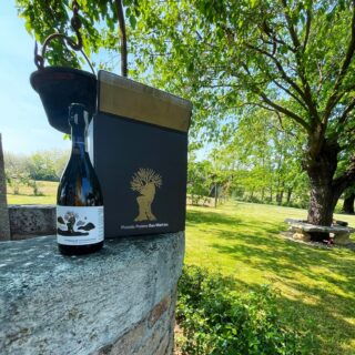 Ecco il nostro Prosecco Superiore DOCG Brut ricavato da uve raccolte a mano nelle meravigliose zone di Farra di Soligo 🍾🍇👋🏻

Vuoi acquistarlo online? Collegati ora al sito www.piccolopoderesanmartino.it e visita la pagina Shop dove potrai scoprire tutta la nostra linea di Prosecchi.

#prosecco #superiore #docg #brut #piccolopoderesanmartino #shop