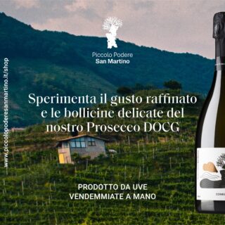 Sperimenta il gusto raffinato e le bollicine delicate 🥂 del nostro Prosecco DOCG 🍾

Eleva il tuo palato con la nostra selezione di vini di alta qualità nati da un approccio rispettoso della natura 🌱 e prodotti da uve vendemmiate a mano 🤚🏻

Vista ora il nostro Shop, link in Bio oppure visita il sito
www.piccolopoderesanmartino.it/shop e scopri i nostri prodotti.

#prosecco #superiore #docg #vino #sparklingwine #madeinitaly #piccolopoderesanmartino