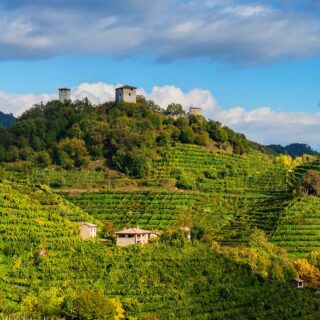 Tra Farra di Soligo e Col San Martino si ergono tra le colline le tre Torri di Credazzo, divenute immagine simbolo del sito patrimonio Unesco.
Il toponimo "Credazzo" è riconducibile alla creta (in dialetto creda), in riferimento alla natura argillosa del territorio, quest'ultima è un elemento peculiare per la coltivazione del Prosecco Superiore DOCG.

#history #prosecco #farradisoligo #unesco #docg